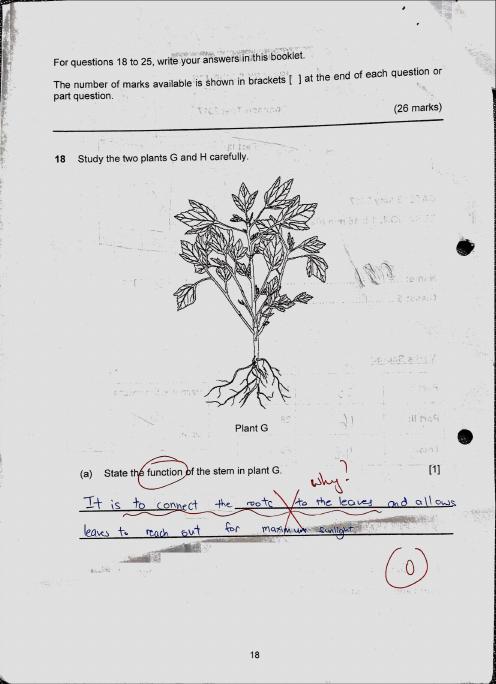 P5 GEP Materials: Science, A P5 GEP Science common test.