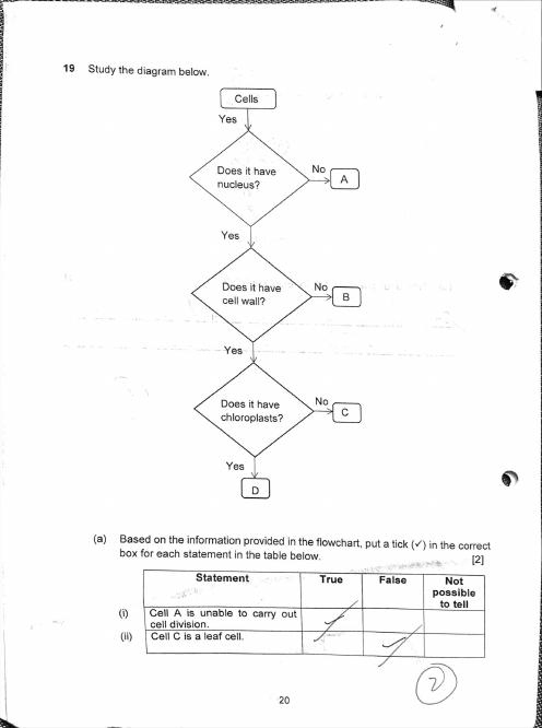 P5 GEP Materials: Science, page 3, Open-ended questions.